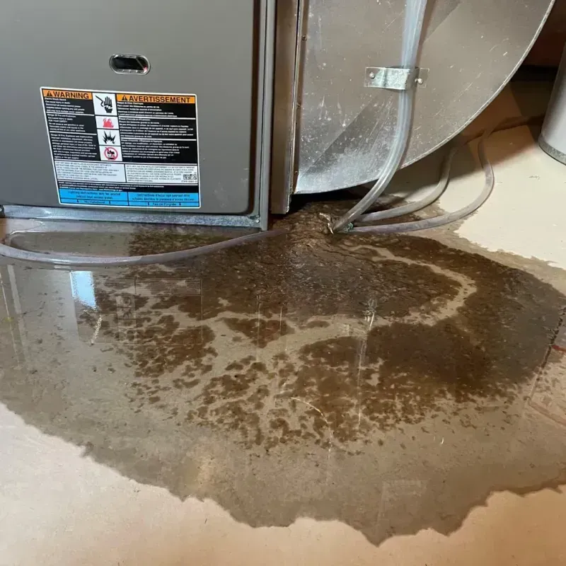 Appliance Leak Cleanup in Houston, AK